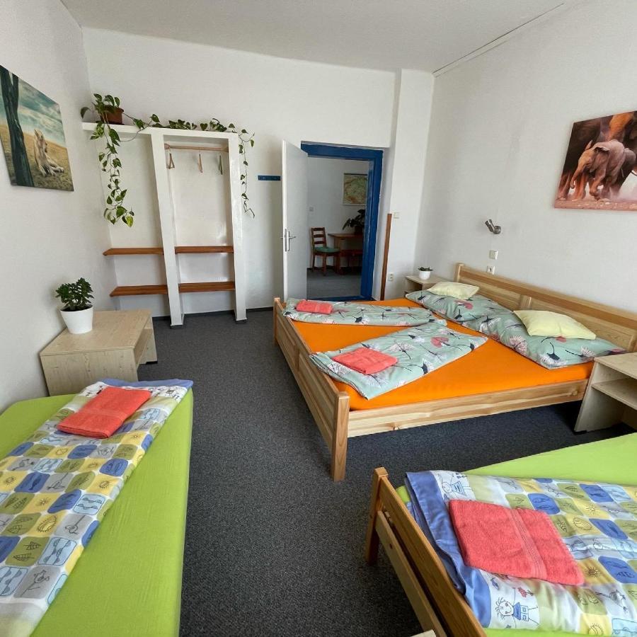 Penzion Slunecnice Dvůr Králové nad Labem Exteriör bild