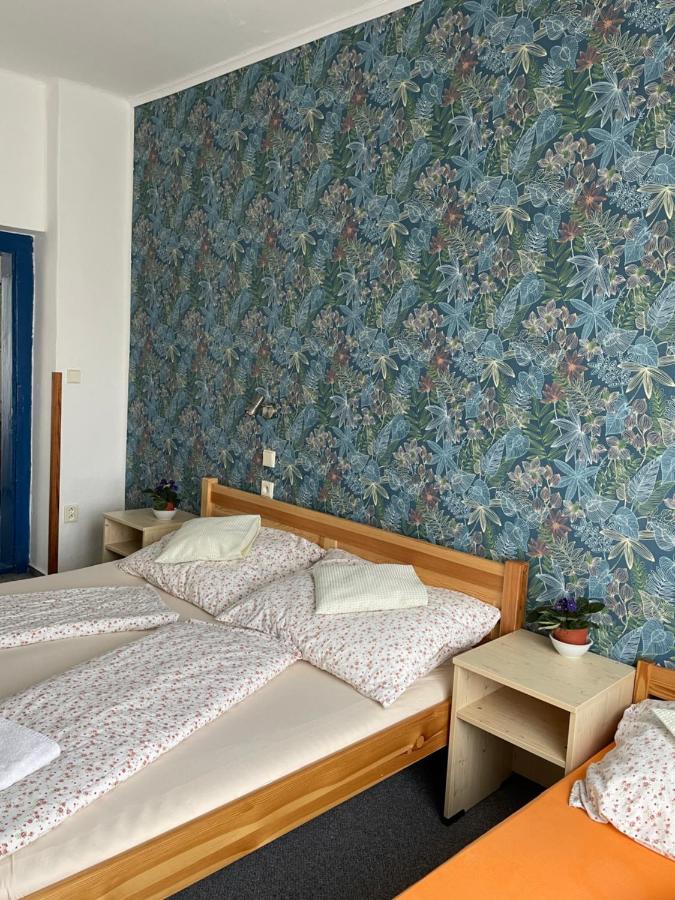 Penzion Slunecnice Dvůr Králové nad Labem Exteriör bild